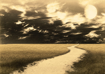 Similar image 1008647