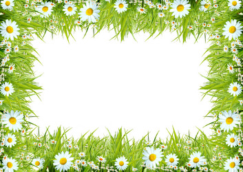 Similar image 1008652