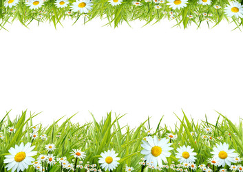 Similar image 1008653