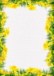 Similar image 1008656