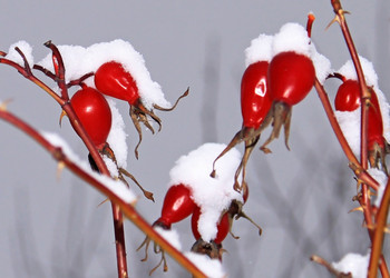 Similar image 1008671