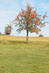 Similar image 1008674