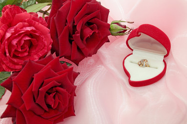 Similar image 1008677