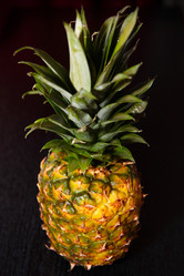 Similar image 1008703