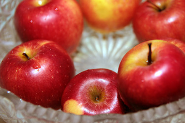 Similar image 1008715