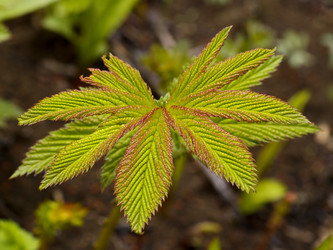 Similar image 1008741