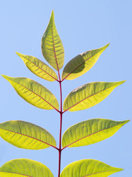 Similar image 1008743