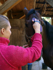 Similar image 1008846