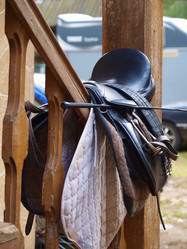 Similar image 1008854