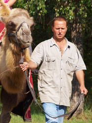 Similar image 1008867