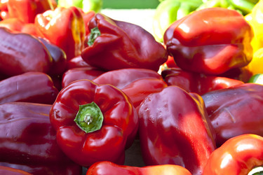 Similar image 1008922