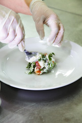 Similar image 1009231