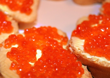 Similar image 1009274