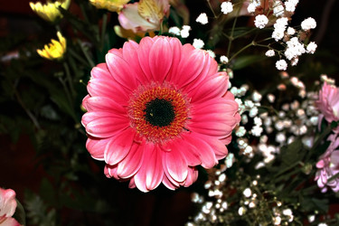 Similar image 1009276