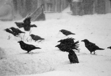 Similar image 1009383