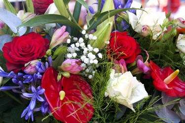 Similar image 1009391