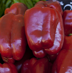 Similar image 1009394