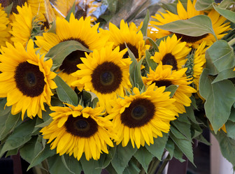 Similar image 1009399