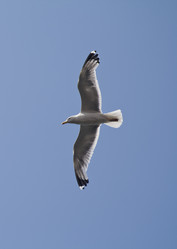 Similar image 1009401