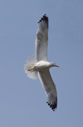 Similar image 1009402