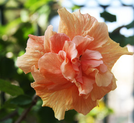 Similar image 1009403