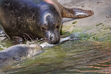 Similar image 1009428