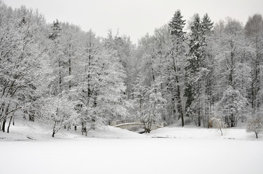 Similar image 1009466