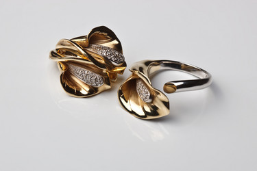 Similar image 1009517