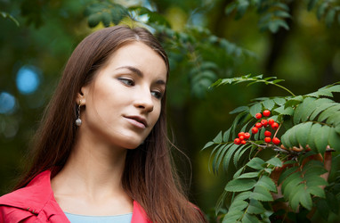 Similar image 1009911