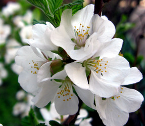 Similar image 1009912