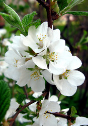 Similar image 1009915