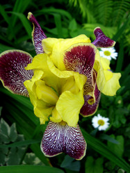 Similar image 1009950