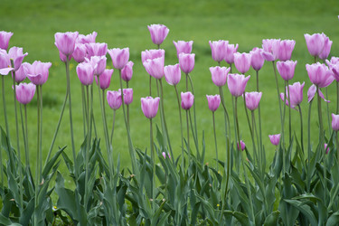 Similar image 1010020