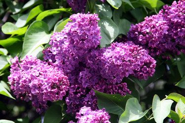 Similar image 1010044