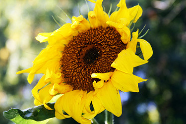 Similar image 1010073