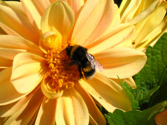 Similar image 1010116