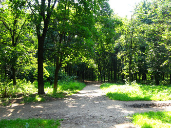 Similar image 1010121