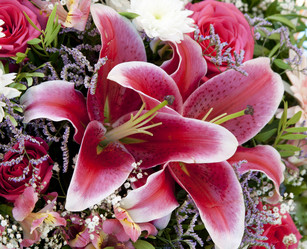 Similar image 1010132