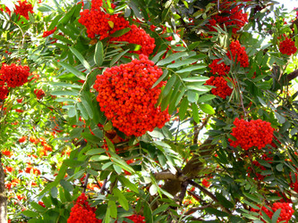 Similar image 1010169