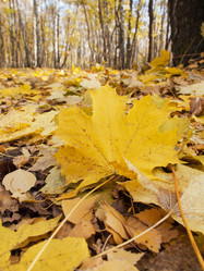 Similar image 1010364