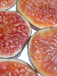 Similar image 1010366