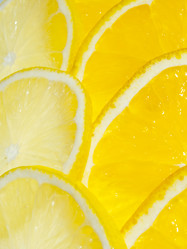 Similar image 1010382