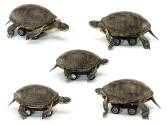 Similar image 1010385