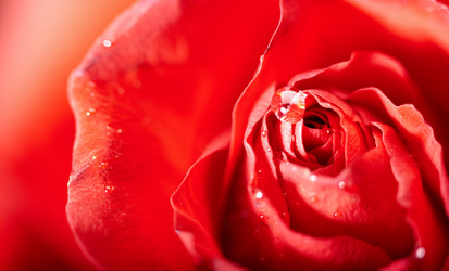 Similar image 1010392