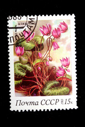 Similar image 1010400