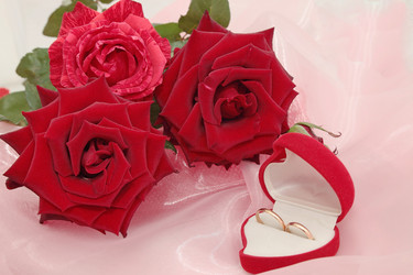 Similar image 1010436