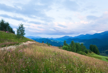 Similar image 1010506