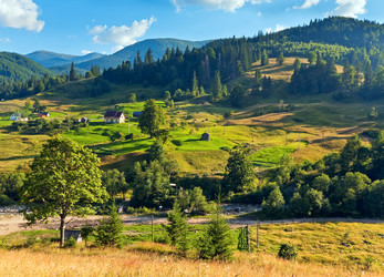 Similar image 1010528