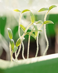 Similar image 1010694