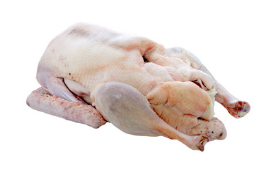 Similar image 1010731